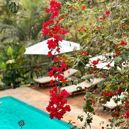 Mediterraneo Suites Puerto Iguazú Dış mekan fotoğraf